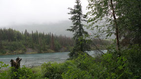 Cooper Landing - the russian river
