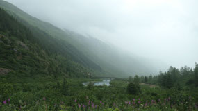 Along Turnaggen Arm