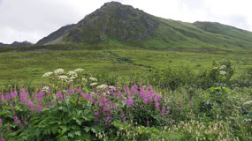 Independence Mine - cool mountains