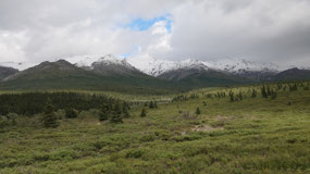 Denali NP - beautiful landscape