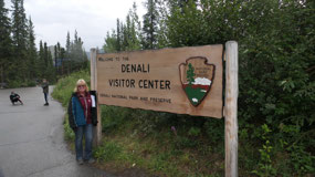 Denali NP - let's check it out
