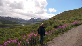 Denali NP - still on the way