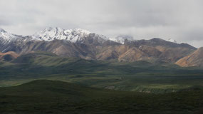 Denali NP - the amazing scenery