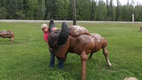 Knobby Shop - and we found a buffalo