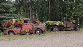 Chena Hotsprings