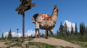 Chicken - yes that is the chicken