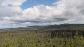 Taylor Hwy - and lots of old forest fires