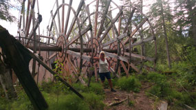 Stem Wheeler Graveyard - the wheel