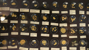 Dawson City - the different styles of gold