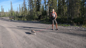 Dempster Hwy - the two on a walk