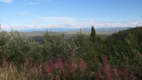 Klondike Hwy - with some nice views