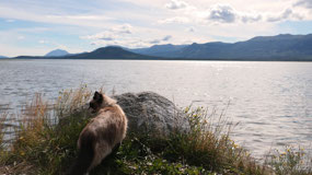 Atlin Lake - Mandy exploring
