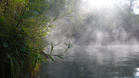 Liard River Hot Springs