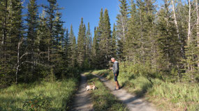 Liard River - going for a walk