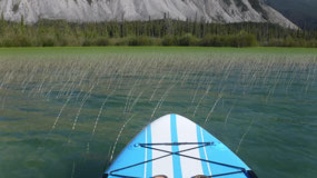 Muncho Lake PP - the funky lake grass
