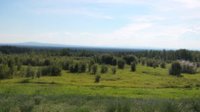 Heading to Fort Nelson - endless land