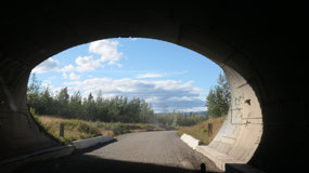 Tumblerridge - cute tunnels
