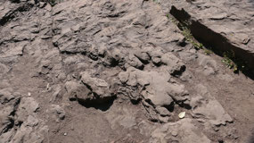 Tumblerridge - the dinosaur tracks