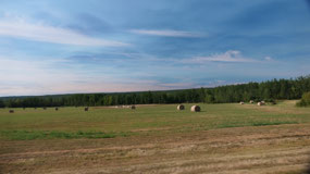 the Plains in Alberte