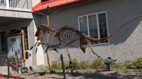 Grande Cache - here live the dinosaurs