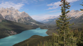 Peyto lake