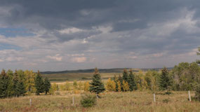 leaving Calgary