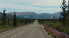 Denali NP - and we head out