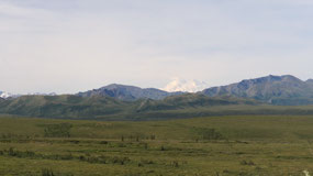 Denali NP - we see Denali