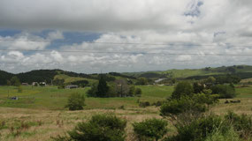 Driving through NZ