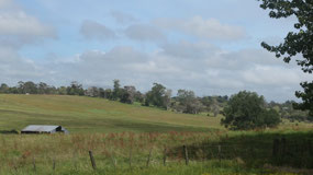on NZ's road - the green hills