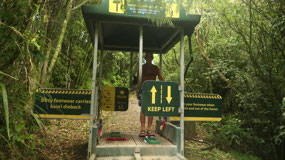 Pohuehue Waterfalls - let's clean shoes