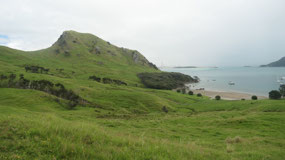 Whangarei Heads - and green hills