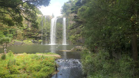 Whangarei Falls