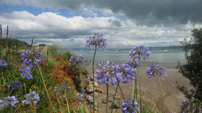 Whangarei Heads - so beautiful