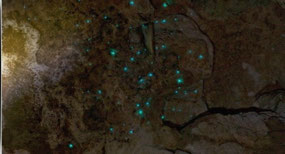 Kawiti Glow worm cave