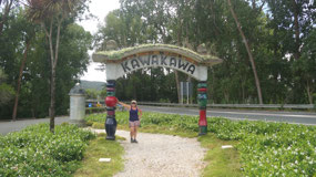 Kawakawa