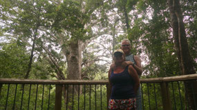 Opua Kauri - at the big Kauri tree