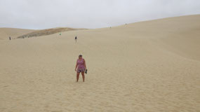 Te Paki Sand dunes