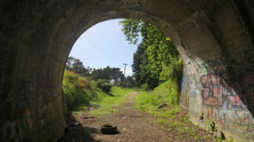 Drive across Northland - in the tunnel