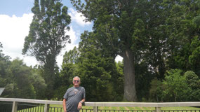 Parry Kauri Park