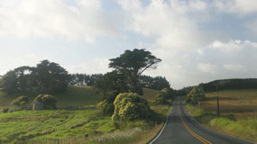 Drive across Northland