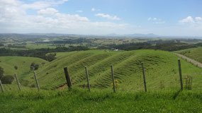 Whangarei Head viewpoint