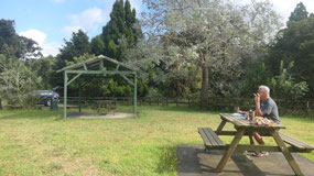 Drive across Northland - breakfast at a picnic sit