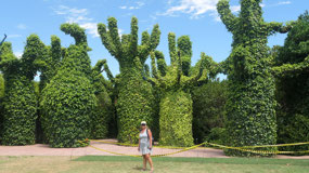 Hamilton gardens - the moving plants