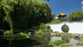 Hamilton gardens - moon gate