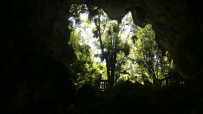 Mangapohue Natural Bridge - wow!!!