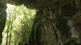 Mangapohue Natural Bridge - lookout out