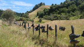 Te Anga Boots Fence - the cool boots