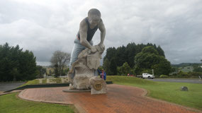 Te Kuiti - with the sheep shearers