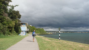 Taupo Taharepa